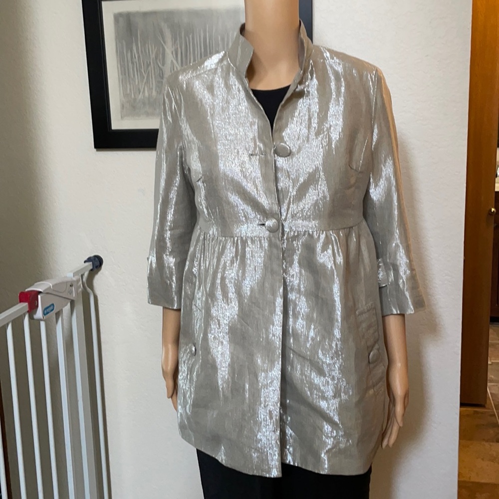 Metrostyle Silver Dress Coat